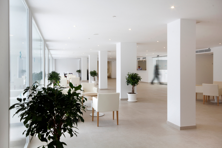 Public Area 3, Hotel Ilusion Calma & Spa, Baleares