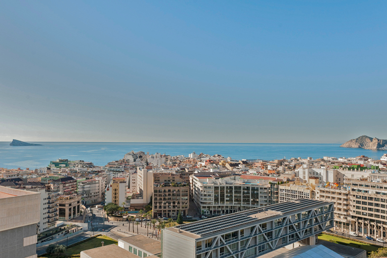 Others 5, La Era Park, Alicante