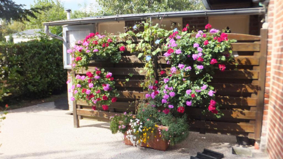 Others 4, Le Camp des Roses, Nord
