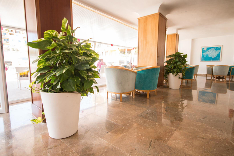 Public Area 2, Hotel Amic Miraflores, Baleares