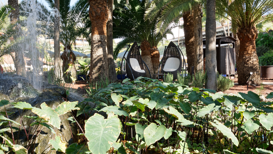 Public Area 5, Hotel Parque Tropical, Las Palmas