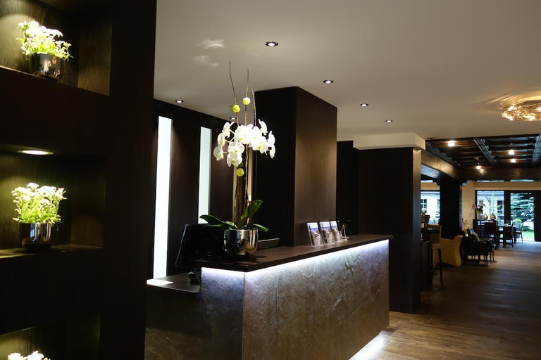 Public Area 5, Le Mirabeau Resort & Spa Zermatt, Visp