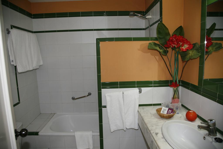 Bathroom, ELE Andarax, Almería