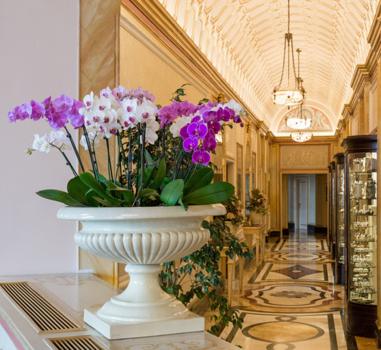 Public Area 4, Regina Palace Hotel, Verbano-Cusio-Ossola