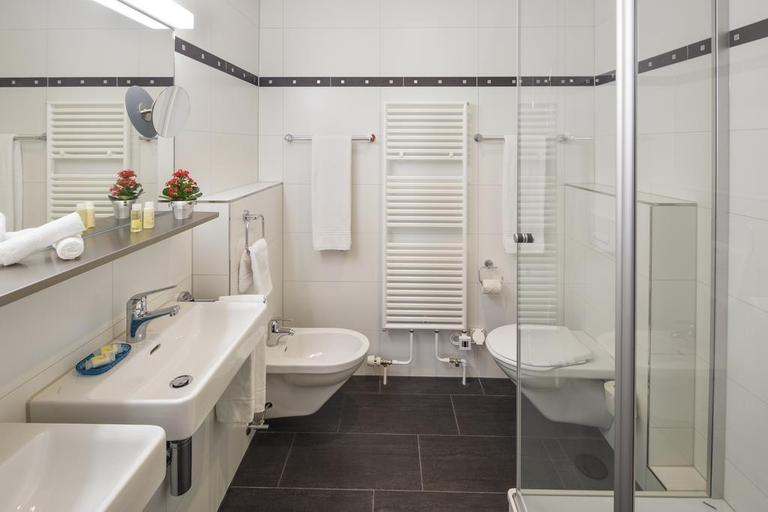 Bathroom 5, Luzernerhof, Luzern