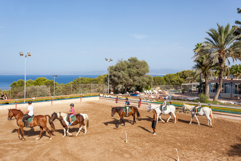 Exterior & Views 2, Sun Club El Dorado, Baleares