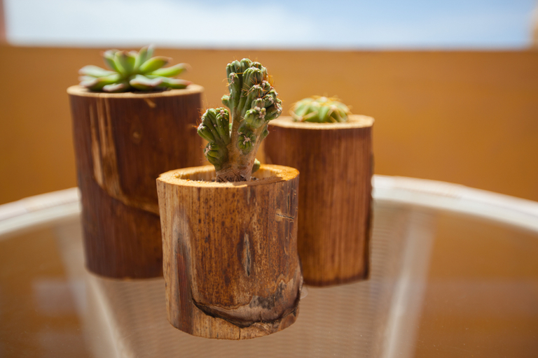 Food & Drinks 5, Corallium Dunamar by Lopesan Hotels, Las Palmas