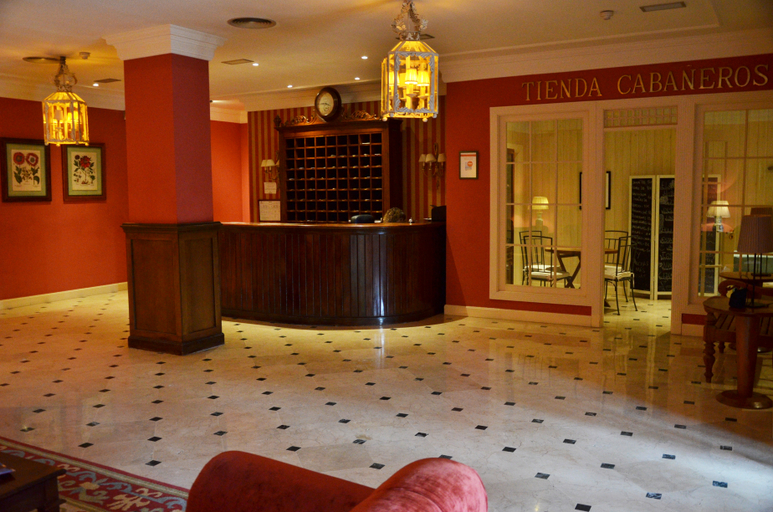 Public Area 2, NUEVO HOTEL PARQUE CABAÑEROS, Ciudad Real