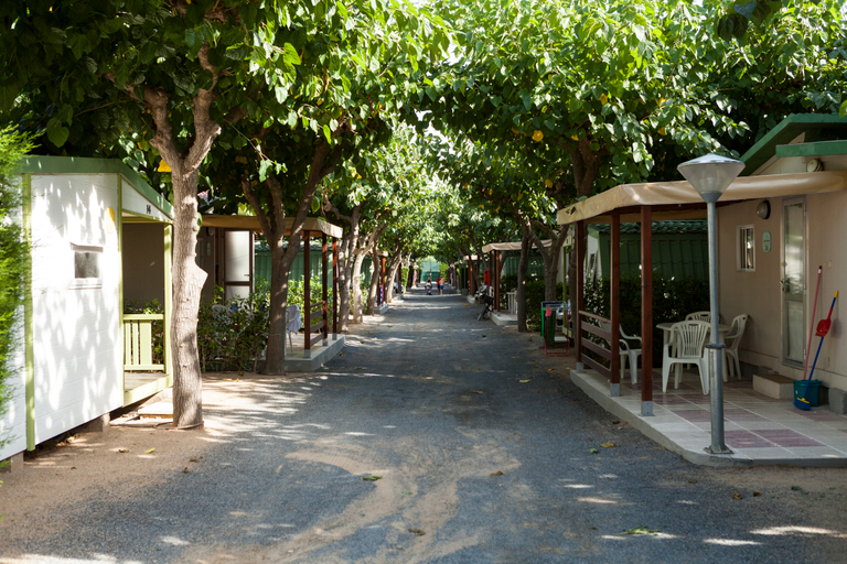 Public Area