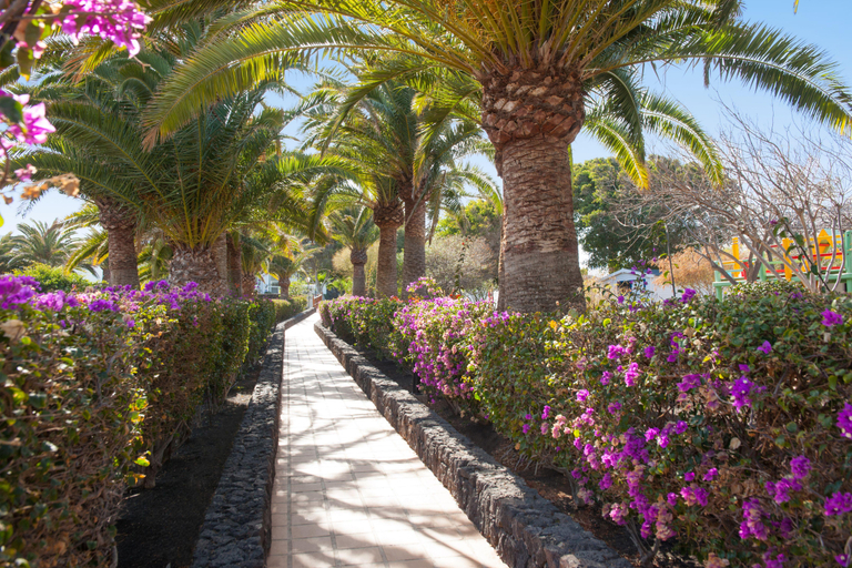 Exterior & Views 2, Relaxia Olivina, Las Palmas