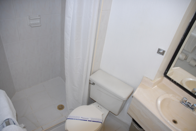 Bathroom 5, Aranzazu Centro Historico Guadalajara, Guadalajara