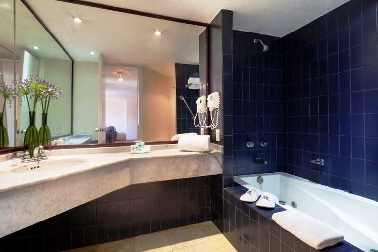 Bathroom 4, Exe Suites San Marino Hotel, Mexico City