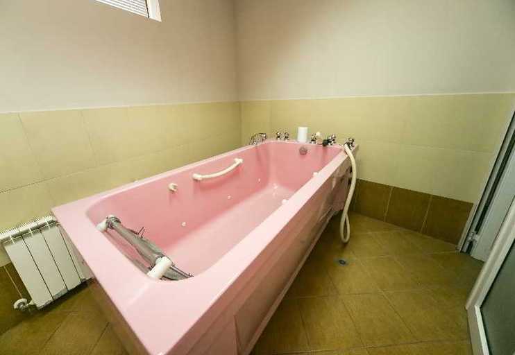 Bathroom 5, Devin Spa Hotel, Devin
