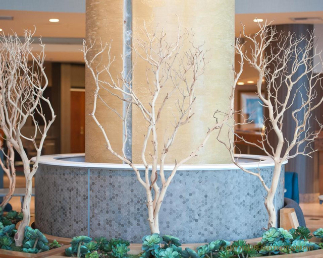 Public Area 2, Anaheim Marriott Suites, Orange
