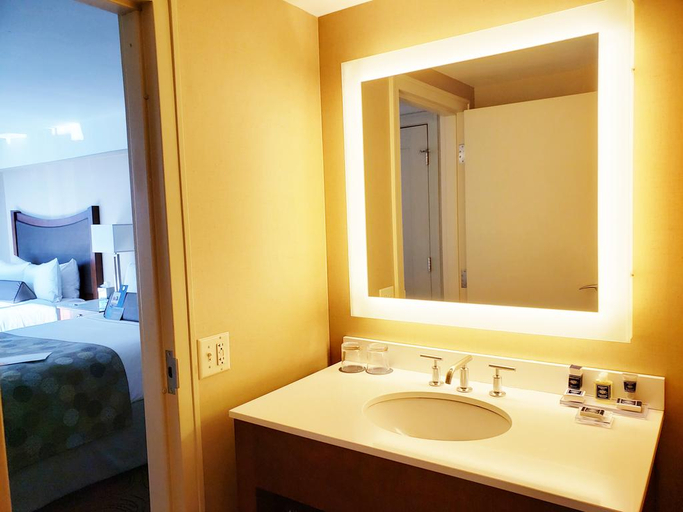 Bathroom 4, The Royal Sonesta Chicago Downtown, Cook