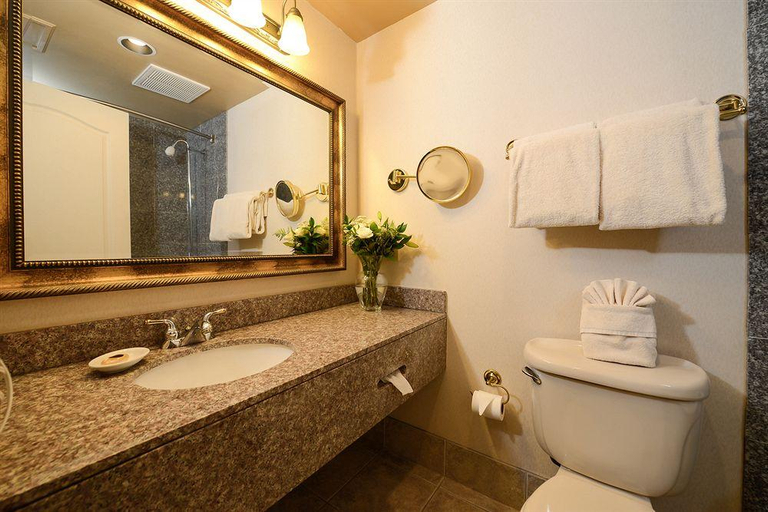 Bathroom 5, O'Brien Historic Riverwalk, An Ascend Hotel Collec, Bexar