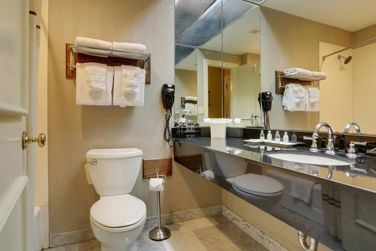 Bathroom 4, Pelham Hotel, Orleans