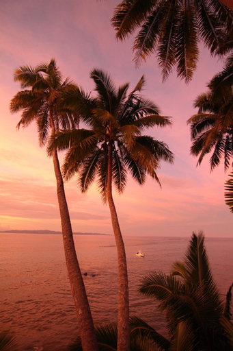 Taveuni Palms, Cakaudrove