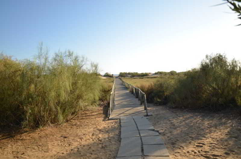 Others, Leo San Bruno I - II, Huelva