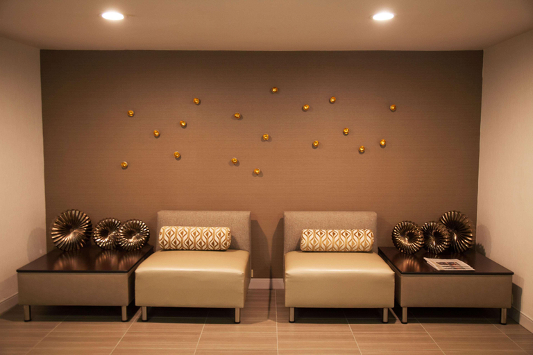 Public Area 2, The Brookhaven Atlanta Hotel, DeKalb