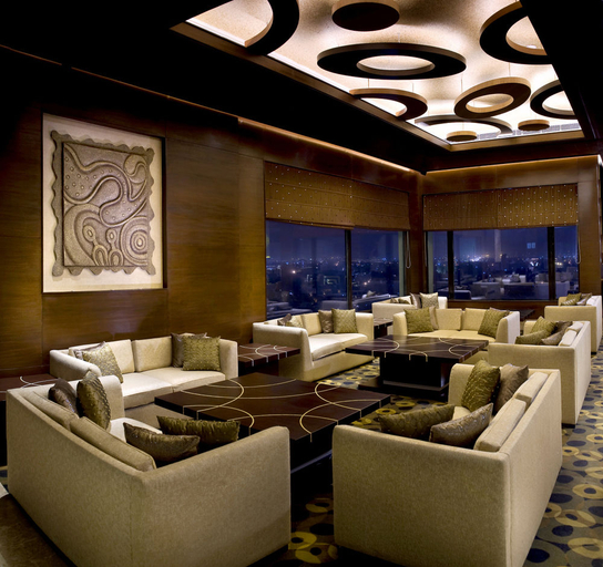 Public Area 4, The Suryaa New Delhi, Delhi