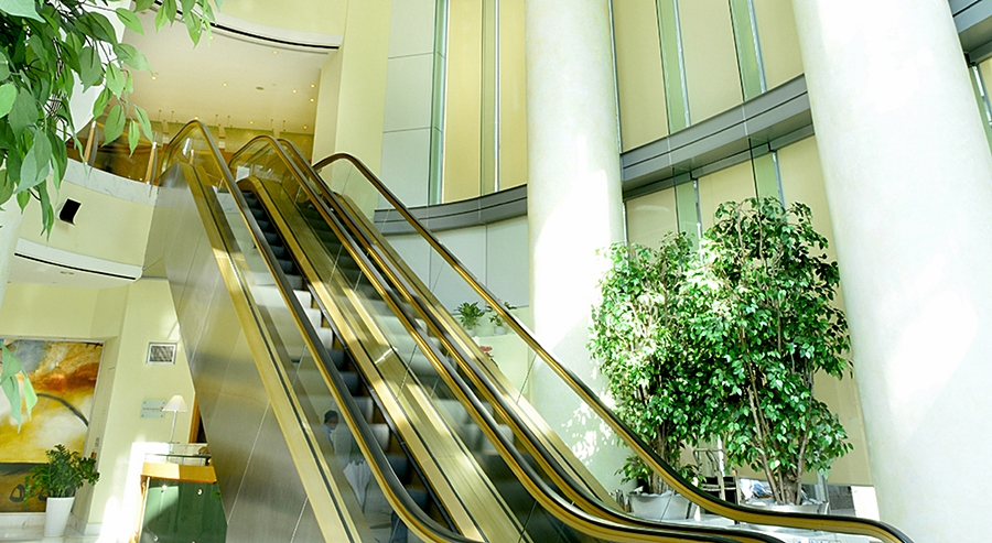 Public Area 4, Metropark Causeway Bay Hong Kong, Hong Kong Island
