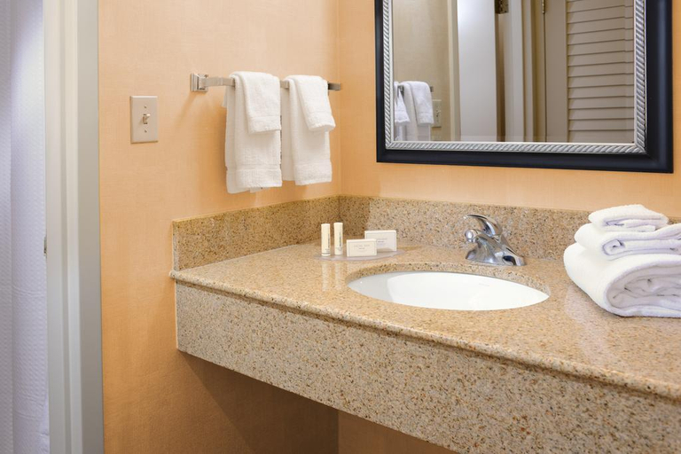 Bathroom 5, Courtyard by Marriott San Antonio Airport, Bexar