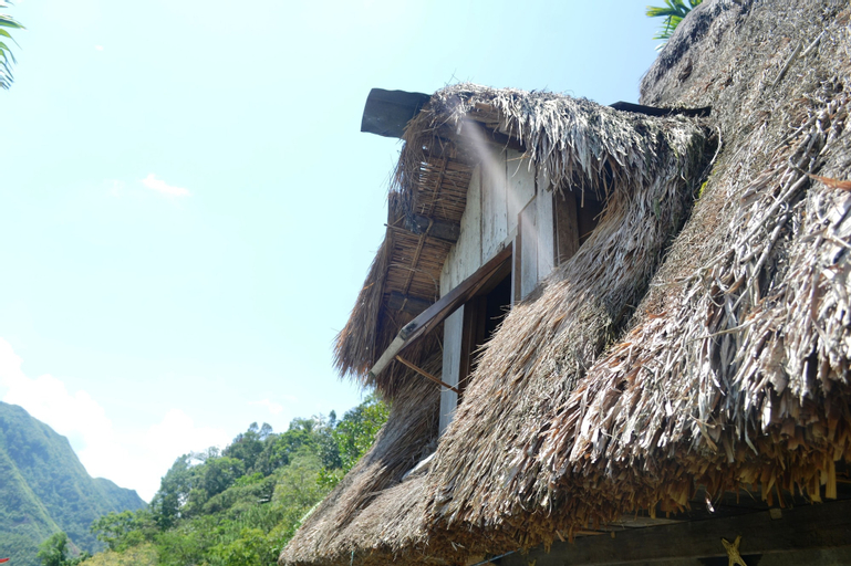 Ramons Native Homestay and Restaurant, Banaue