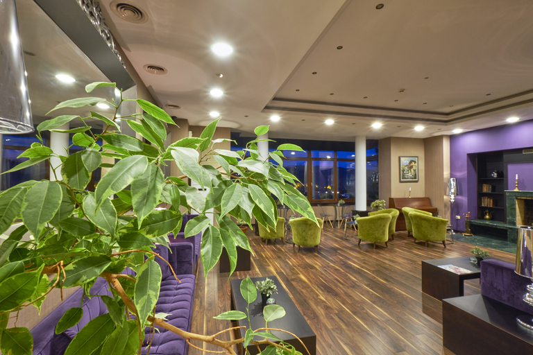 Public Area 4, Yantra Grand Hotel -Sharlopov Hotels, Veliko Tarnovo