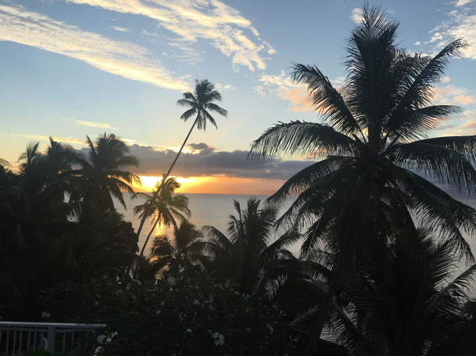Taveuni Palms, Cakaudrove