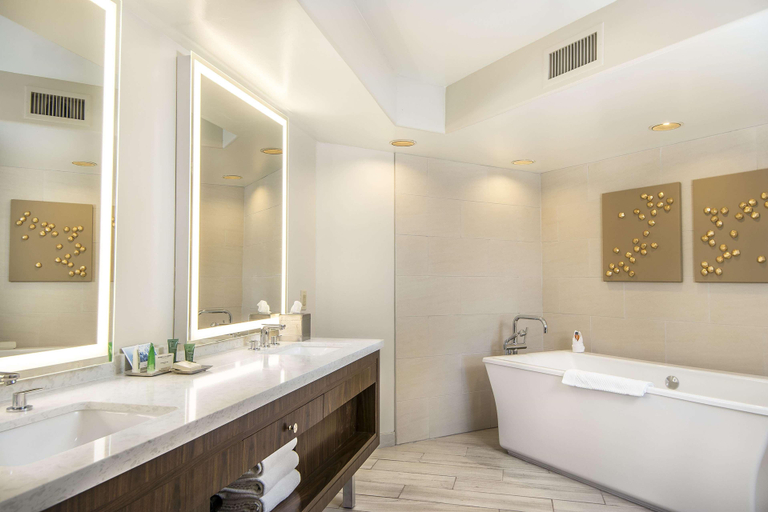 Bathroom 5, Hilton Phoenix Resort at the Peak, Maricopa