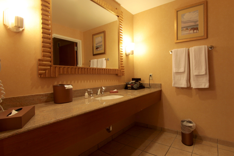 Bathroom 4, South Point Hotel, Casino, and Spa, Clark