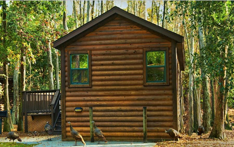 Sport & Beauty, The Cabins At Disney's Fort Wilderness Resort, Orange