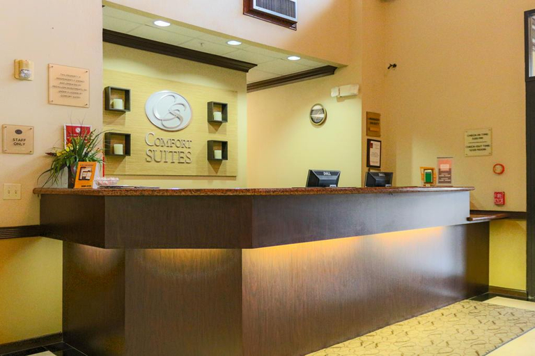 Public Area 2, Comfort Suites Bush Intercontinental Airport, Houston
