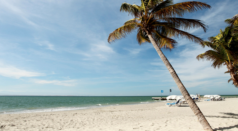 Surf Paradise, Díaz