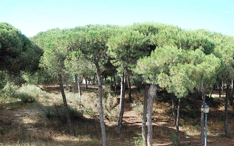 Exterior & Views 2, On Family Islantilla, Huelva