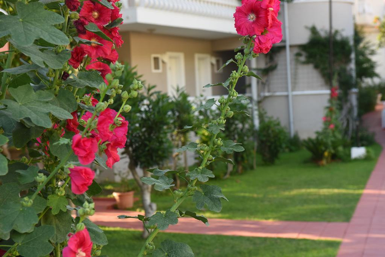 Exterior & Views 2, Oludeniz Turquoise Hotel, Fethiye
