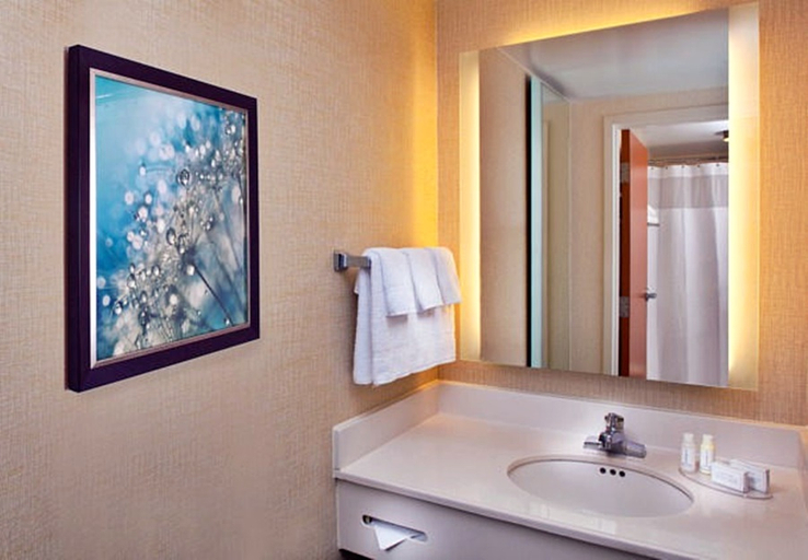 Bathroom 4, Springhill Suites Marriott Village, Orange