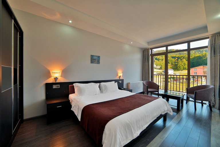 Hotel Snow Plaza, Borjomi