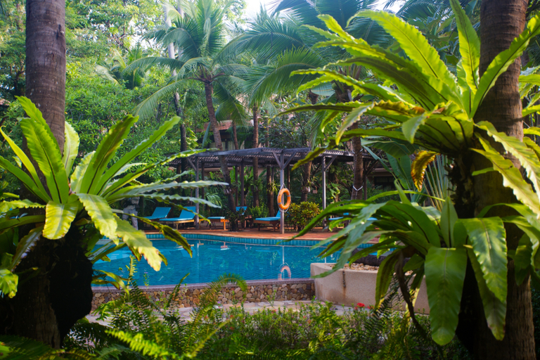 Sport & Beauty 2, Rabbit Resort Pattaya, Pattaya