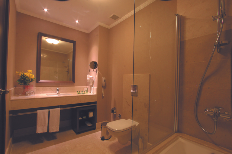 Bathroom, Acapulco Resort Convention Spa Hotel