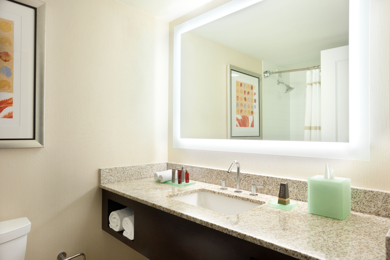 Bathroom 5, Miami Marriott Biscayne Bay, Miami-Dade