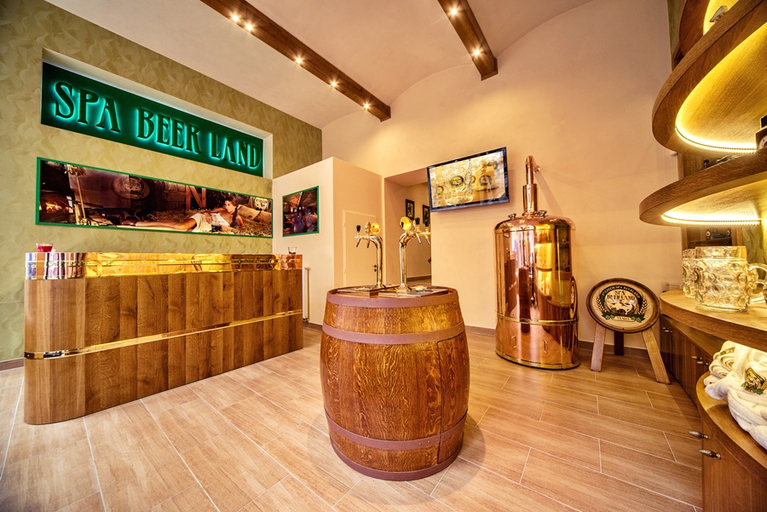 Public Area 4, Hotel Suite Home Prague, Praha 1