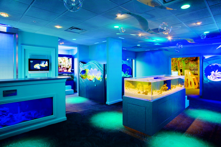 Public Area 5, The Ritz-Carlton, Naples, Collier