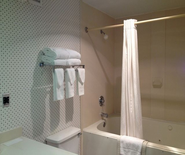 Bathroom 4, Red Roof Inn & Suites Albany, GA, Dougherty