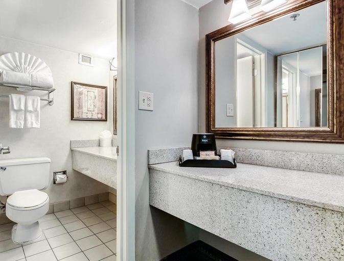 Bathroom 3, Ramada Plaza by Wyndham Atlanta Airport, Fulton