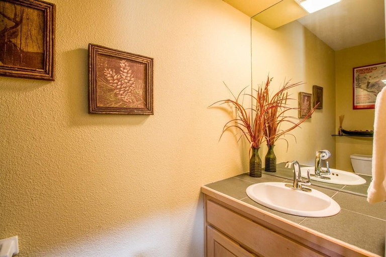 Bathroom 5, Big Leaf 25, Deschutes