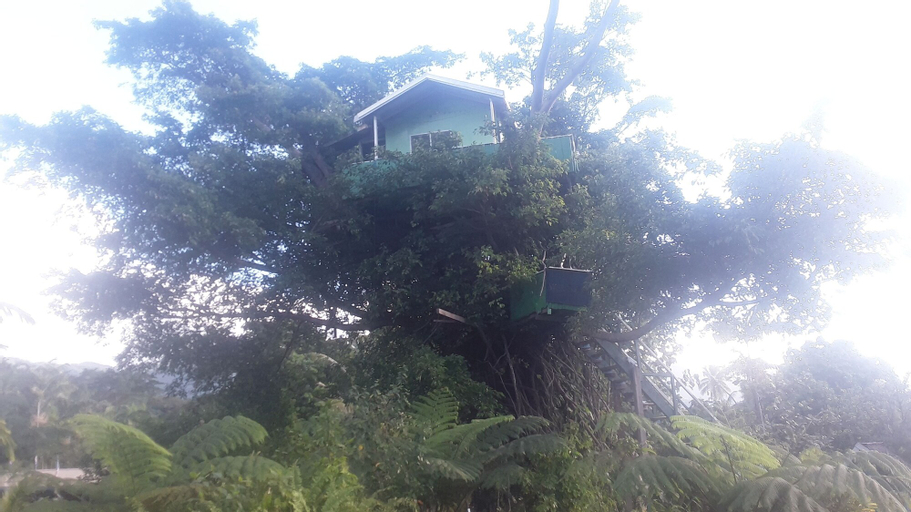 Quarumanu Area, West Tanna
