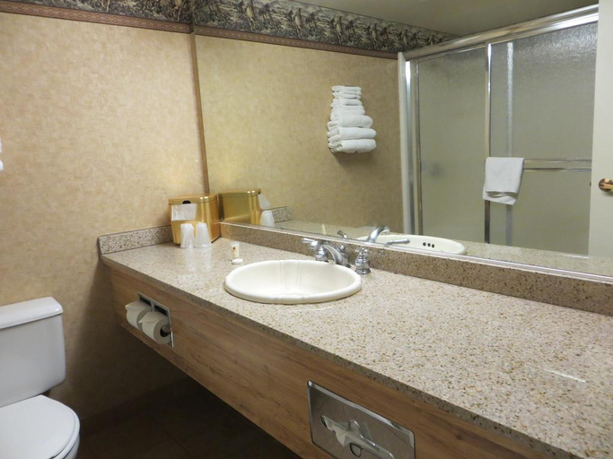 Bathroom 4, Buffalo Bills, Clark