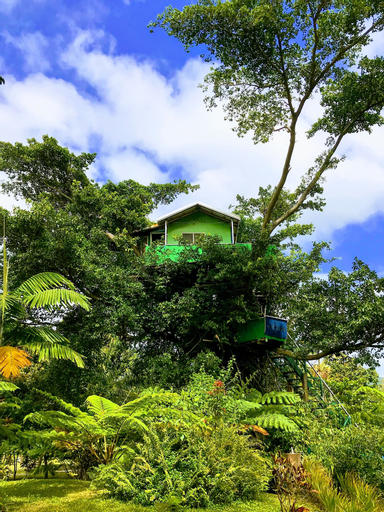 Quarumanu Area, West Tanna